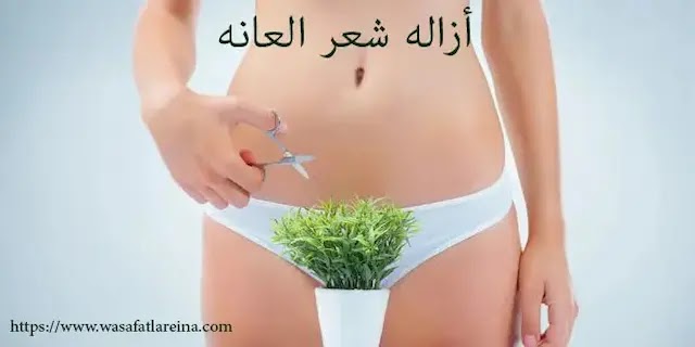    ازالة شعر العانه بدون ألم و بأفضل الطرق